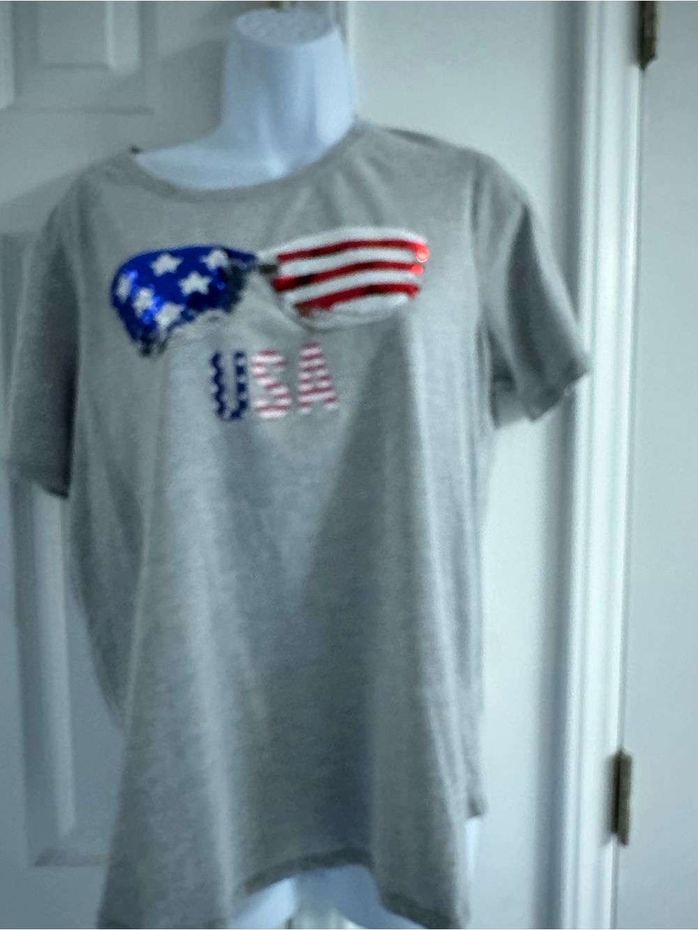 liberty park Gray Tee with Red & Blue Flag Detail